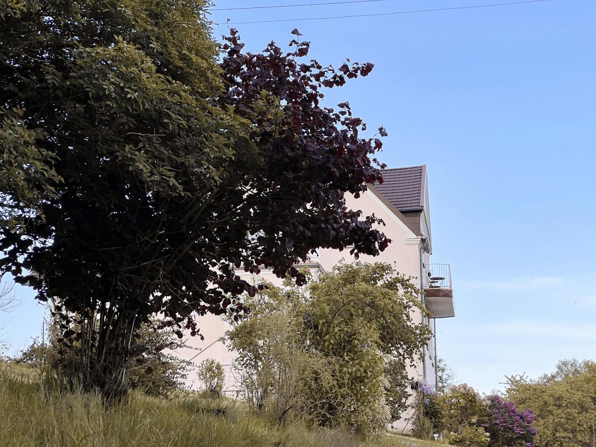 Villa Ueberblick Nalbach Exterior foto
