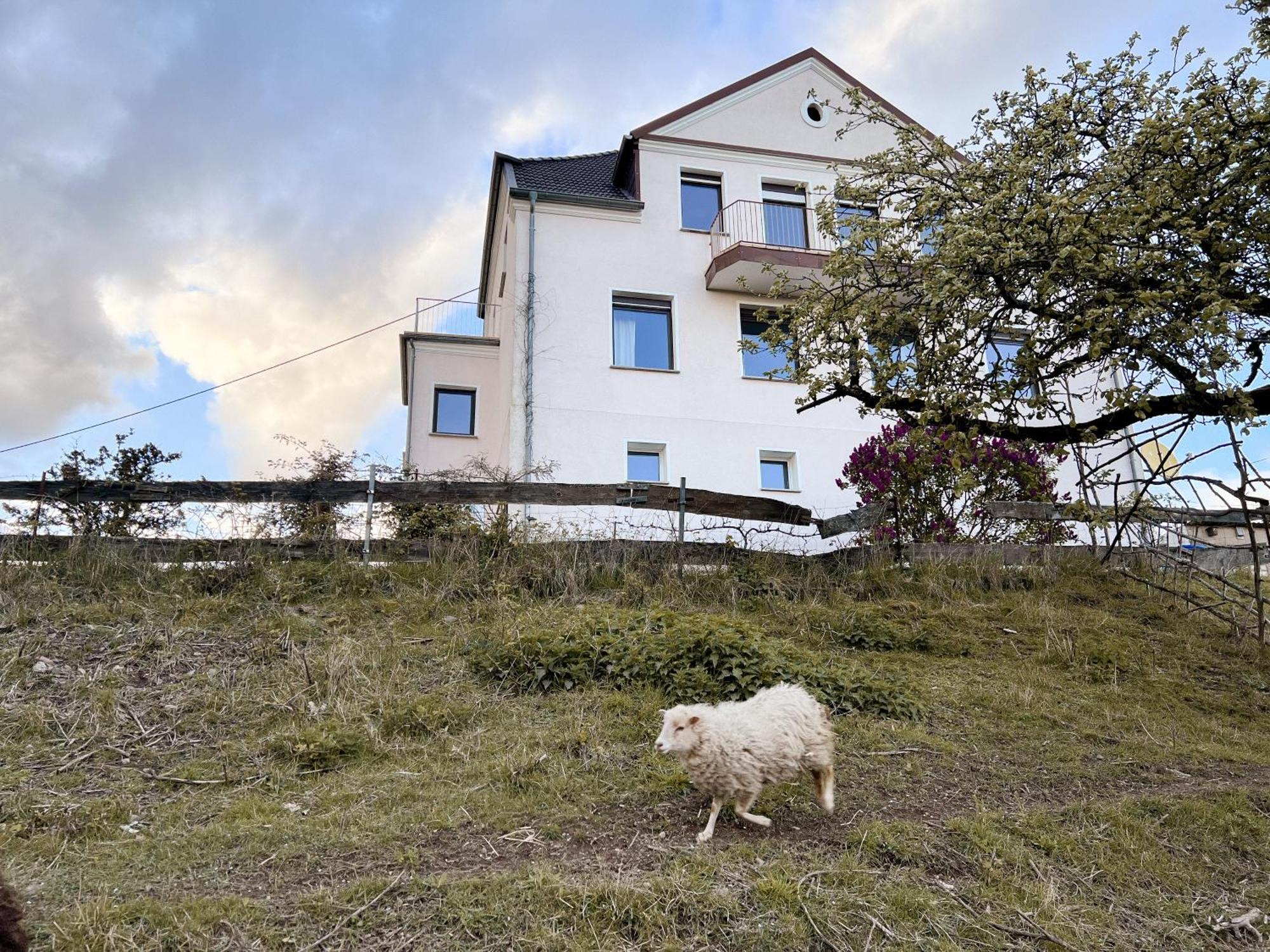 Villa Ueberblick Nalbach Exterior foto